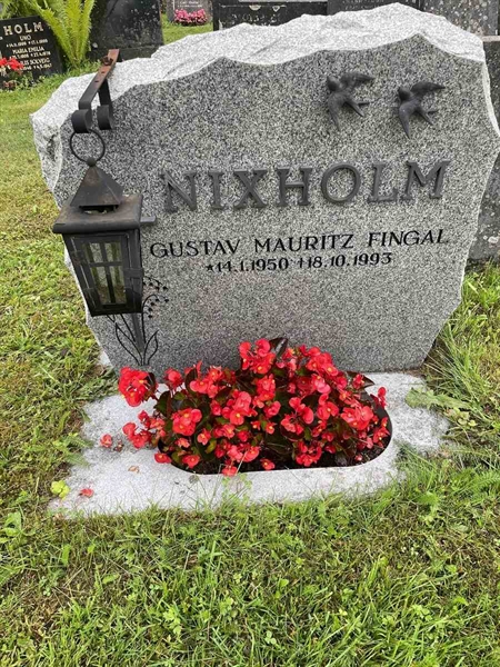 Hautatunnus: N 4 4   609b