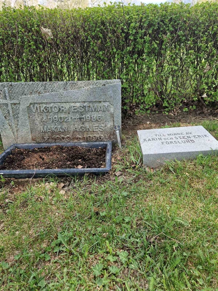 Grave number: 501 11 1667