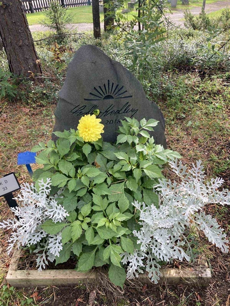 Hautatunnus: SK D    33
