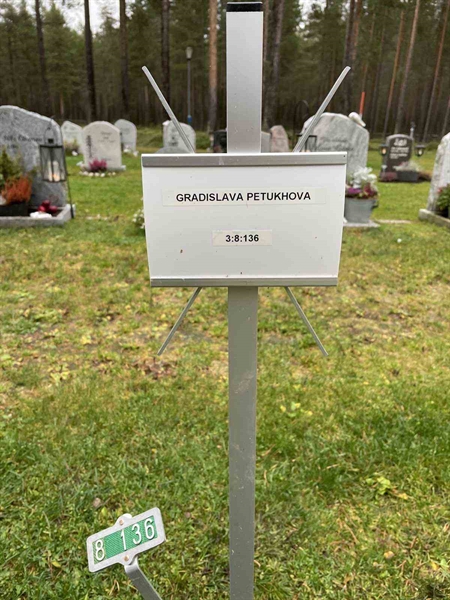 Grave number: 3 8   136
