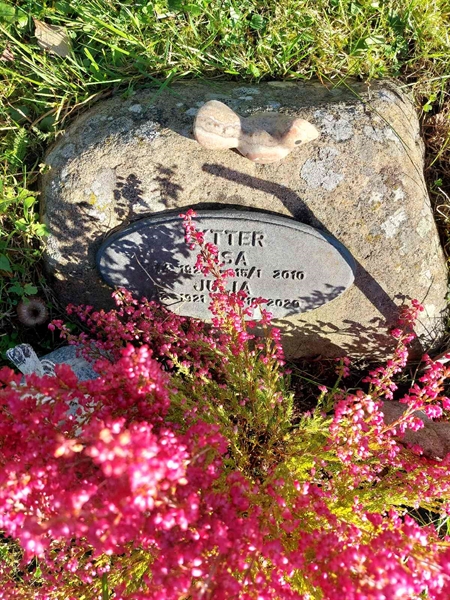 Hautatunnus: 1 L   056