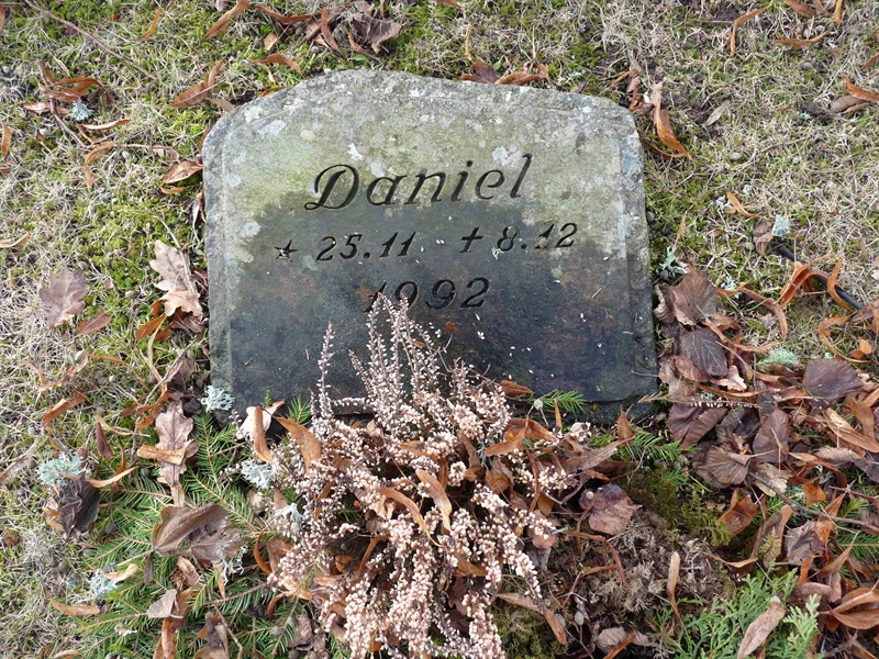 Grave number: SV 8   23