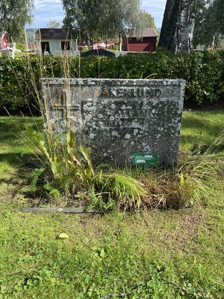 Grave number: 3065 D    13