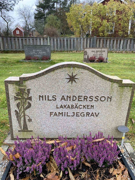 Gravnummer: 6 03     51, 52