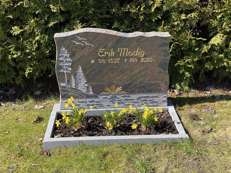 Grave number: 2 D    66-67