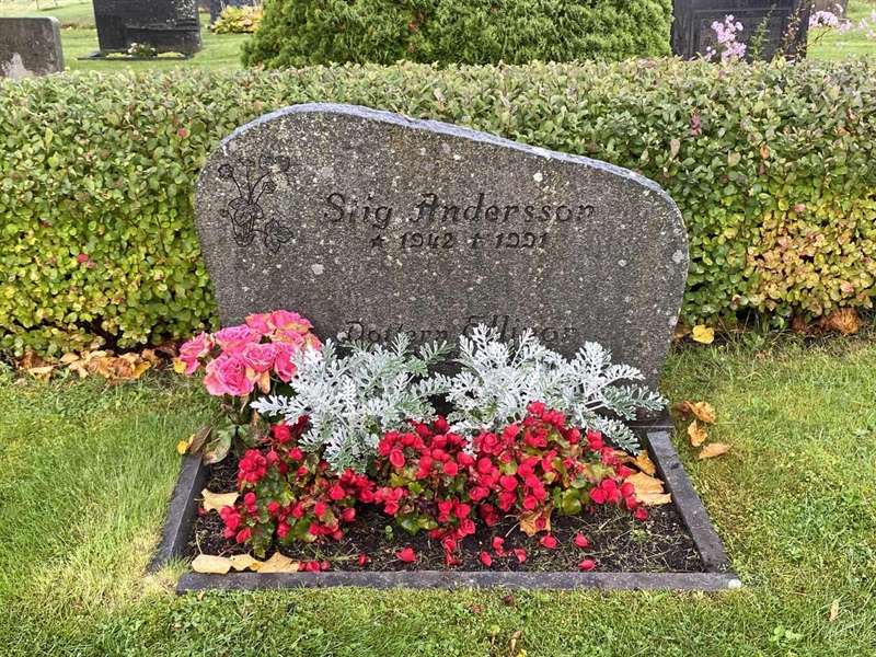 Grave number: 4 Öv 17    70-72