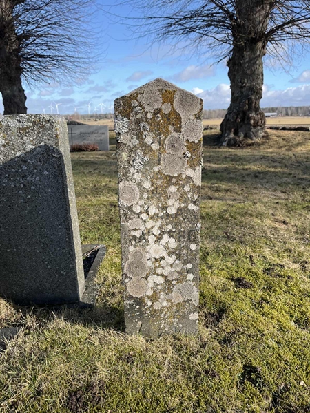 Hautatunnus: HA N    64