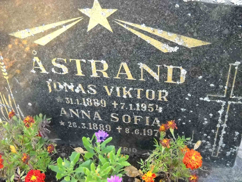 Grave number: 3 MB 17 12-13