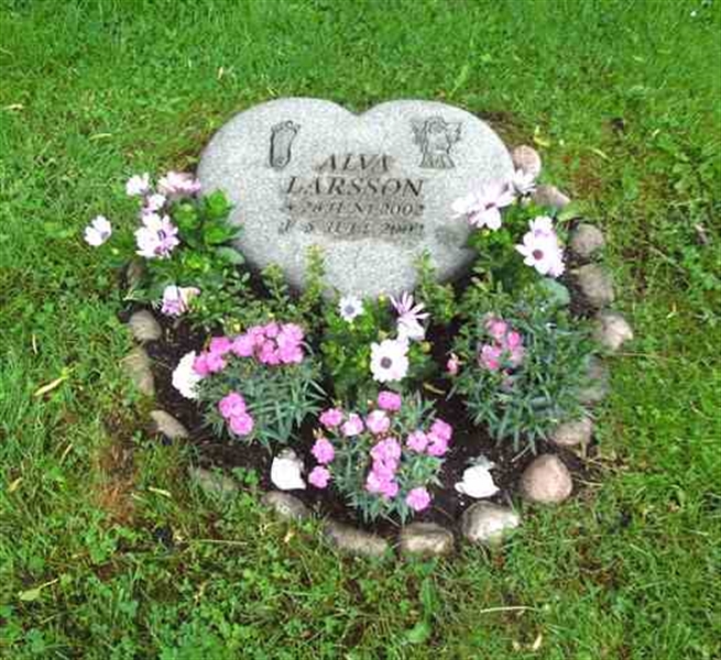 Grave number: SN U8    13