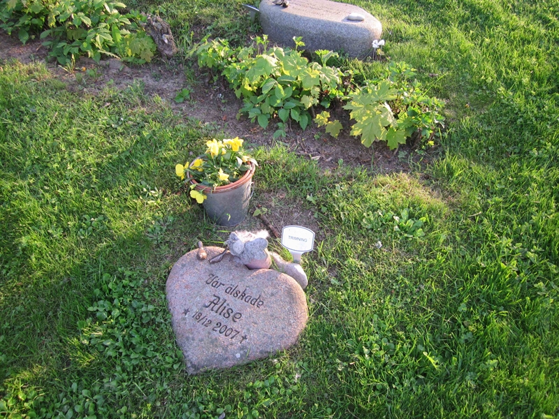 Grave number: 06 H    5