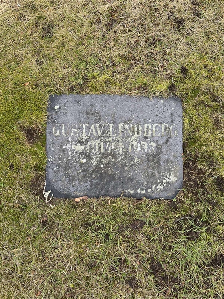 Hautatunnus: HA F    86