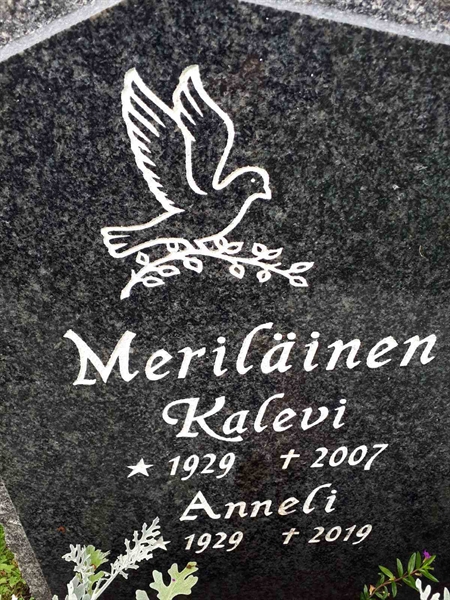 Hautatunnus: NK F D   398