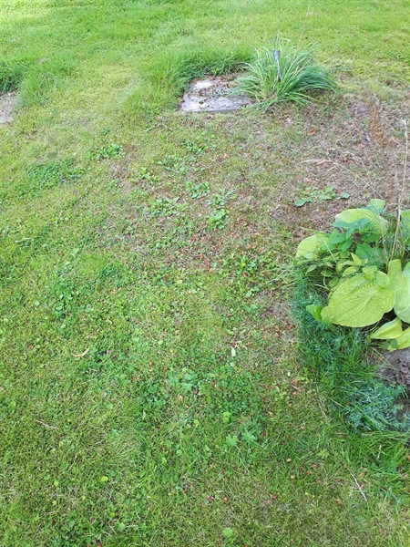 Gravnummer: NK A A   223