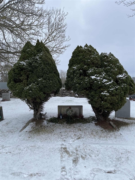 Gravnummer: EN C    60, 61