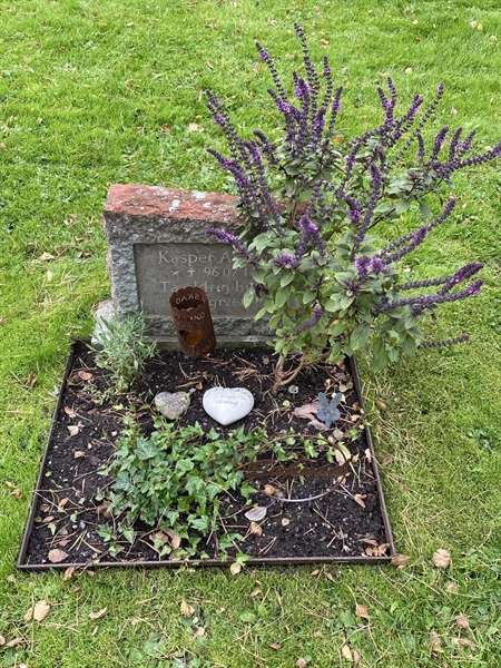 Hautatunnus: 2 C   723