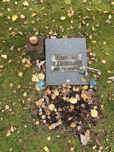 Grave number: 1 29     48