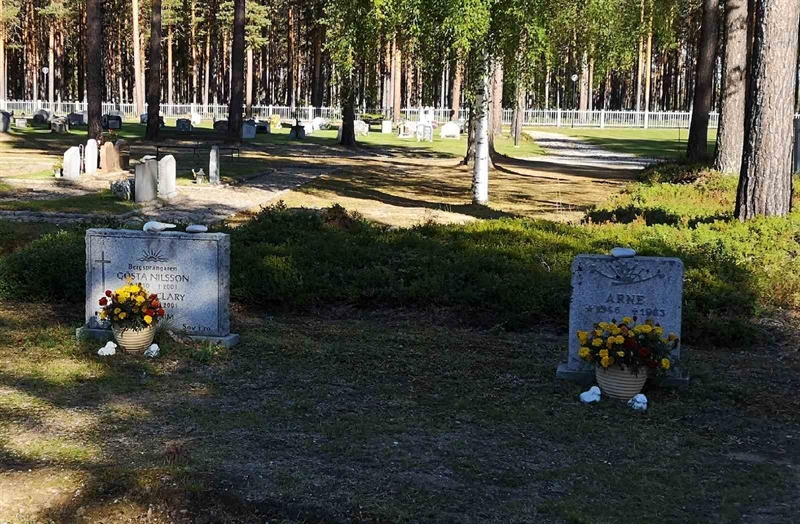 Hautatunnus: VLM 01    20:1-4