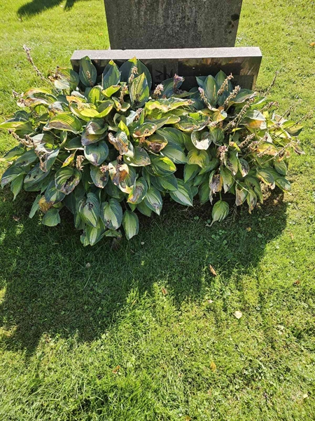 Grave number: Fr 7   328-329