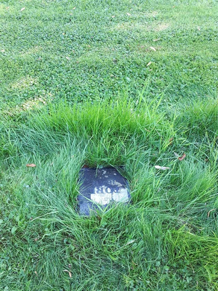 Hautatunnus: GK A 4   354V