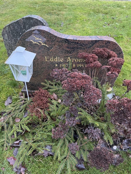 Grave number: Ärt 60 26    19