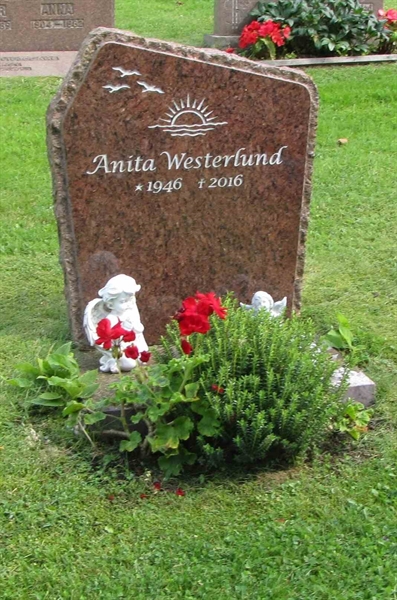 Grave number: HG MÅSEN   543