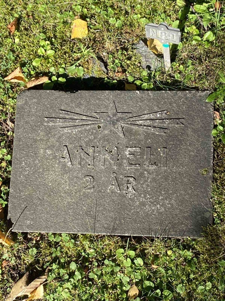 Hautatunnus: 1 N    89