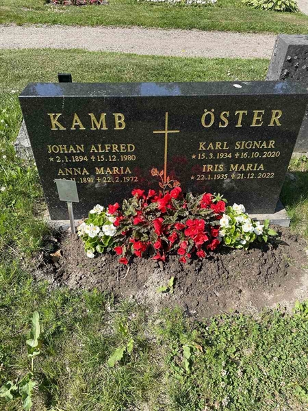 Gravnummer: N 5 1   138