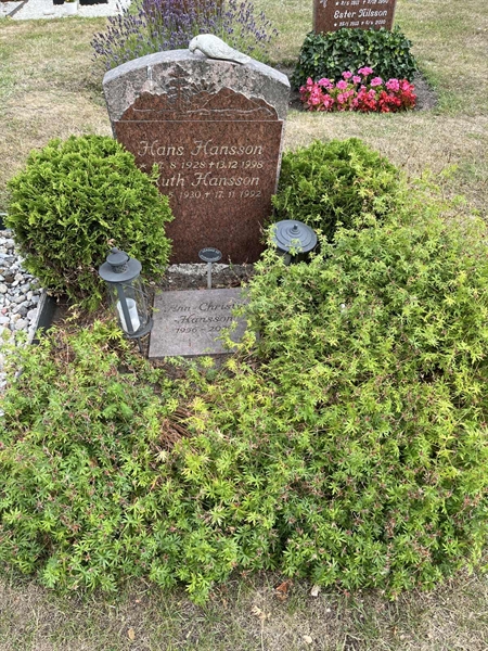 Grave number: NK XX:u   398