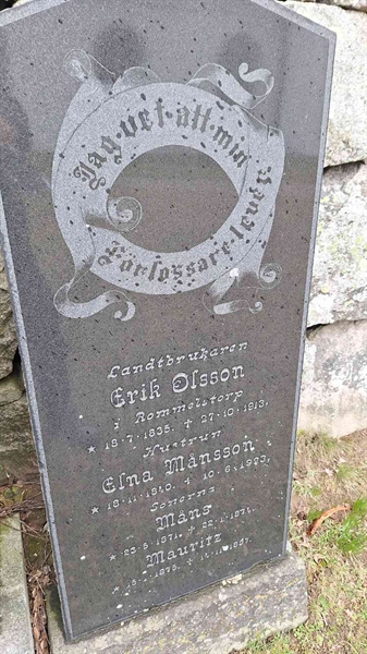 Hautatunnus: VG A   113-114