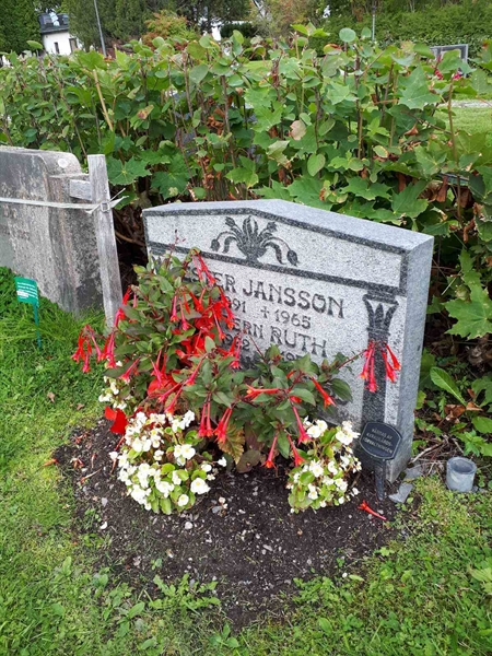 Hautatunnus: NK F B     7