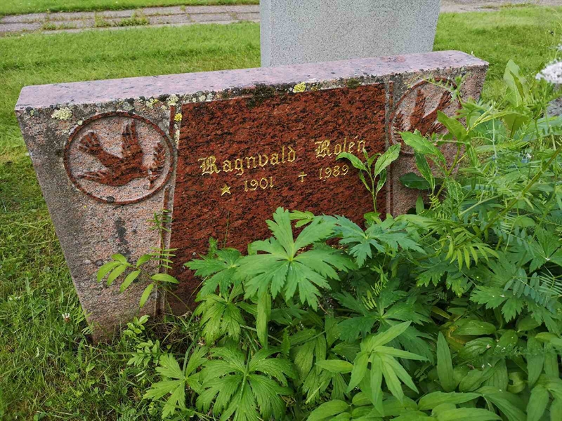 Hautatunnus: NK 13    38