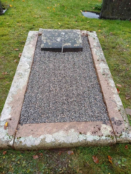 Hautatunnus: KN 02   295