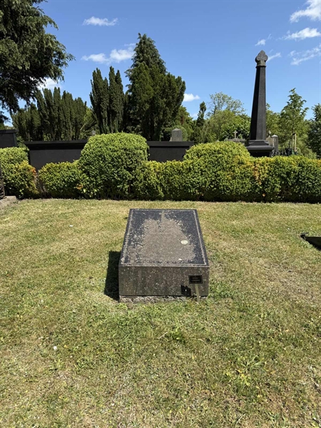 Hautatunnus: TR 4 1    81, 82