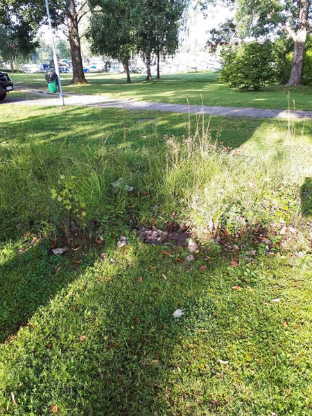 Gravnummer: GK F 4   369