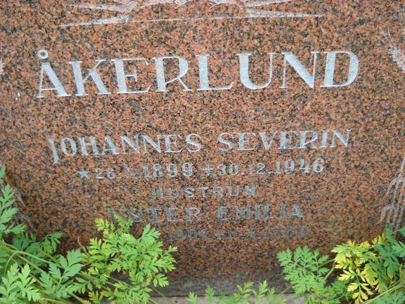 Grave number: 3 MB 11 41-43