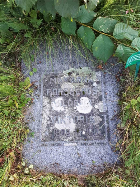 Grave number: NK F G   211