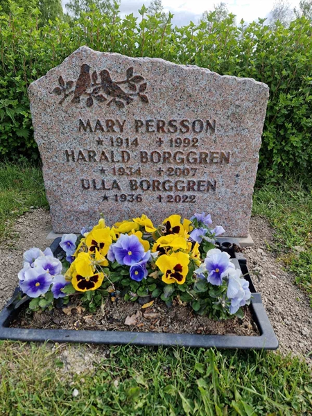 Grave number: 501 15 2812-2813