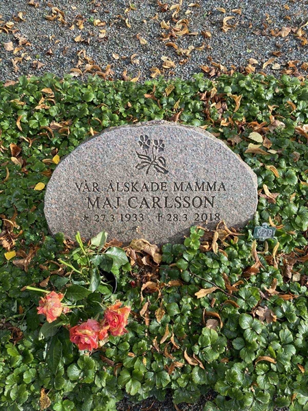 Grave number: 1 M    28