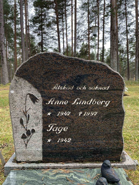 Grave number: 3 4    28