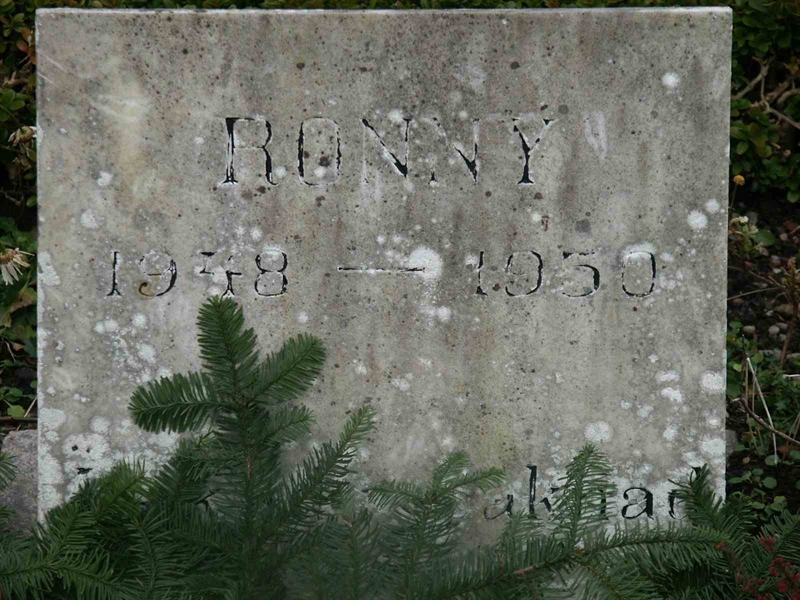 Grave number: KK NÖ C    58