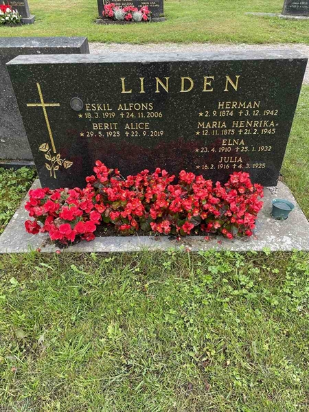 Gravnummer: N 4 3   432