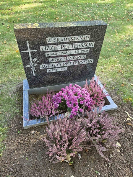 Grave number: T B B    82