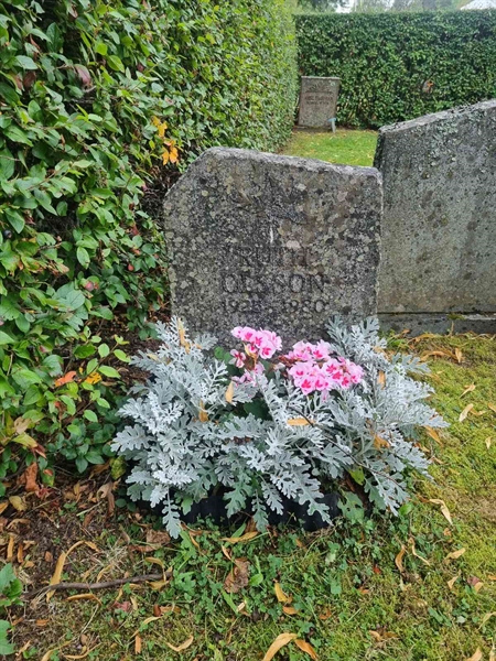 Grave number: 1 13   91