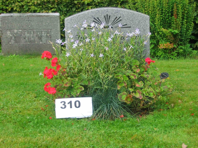 Grave number: FK 03    310