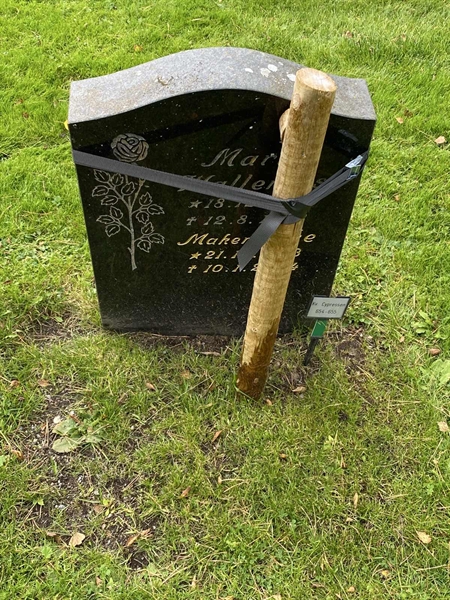 Hautatunnus: 2 C   654-655