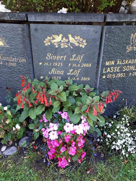 Hautatunnus: GK U 4   392