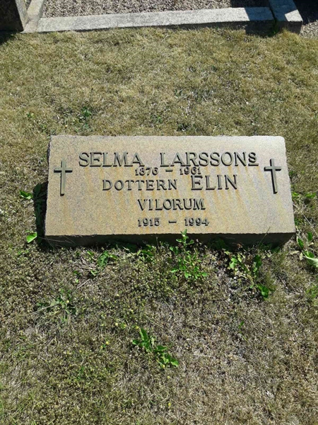 Grave number: TÖ 5   321