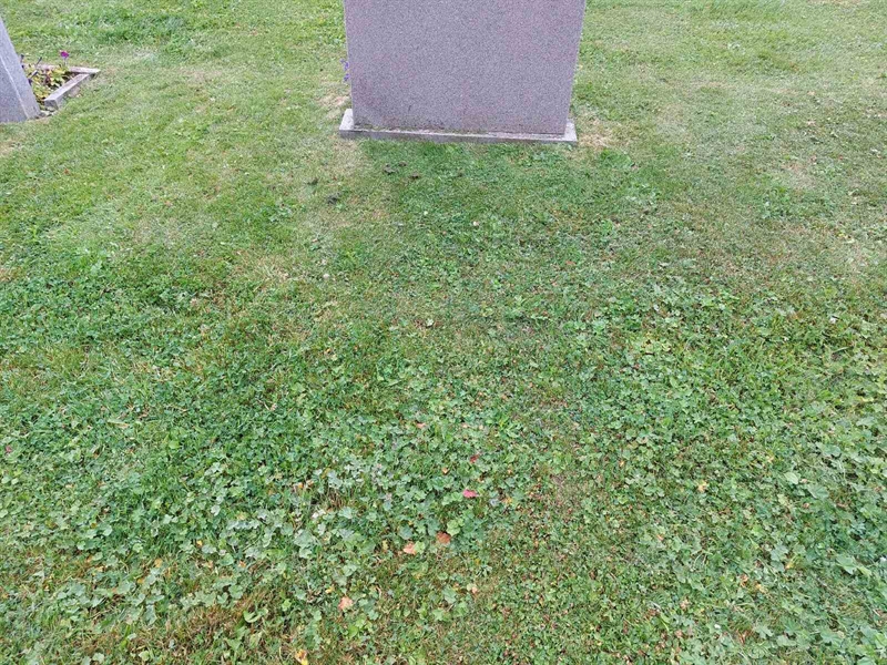 Grave number: FÖ 7    55, 56