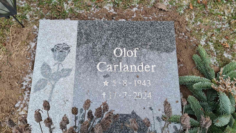 Grave number: M G 15 584-585