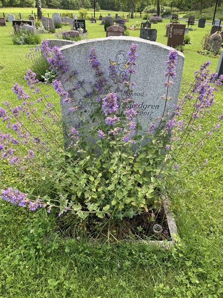 Grave number: 1 15    39